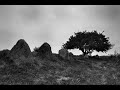 Demons & Wizards- Wicked Witch