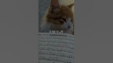 قد أفلح من زكّاها… تلاوة خاشعة من سورة الشمس بصوت أحمد العجمي