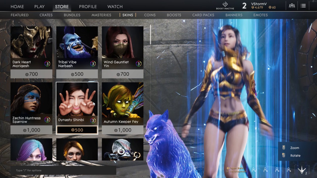 Paragon: Character & Skins