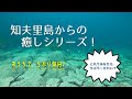 知夫里島　癒しシリーズ①　来居の海の中から～【HD再生対応】