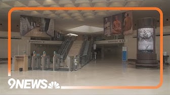 Thumbnail for Water leak damages hundreds of books at the Louvre