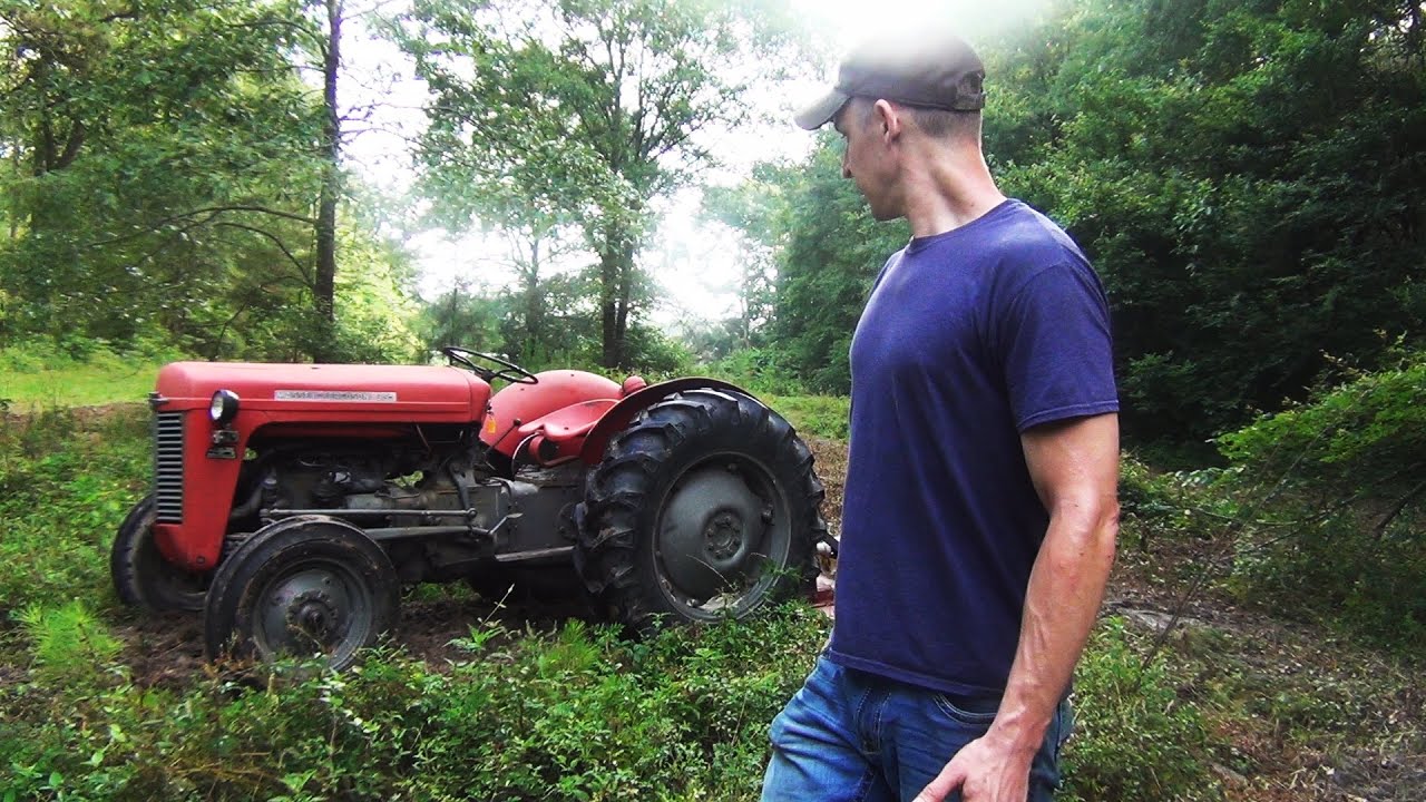 Brush Hogging New Food Plot Location With Massey Ferguson 35 - YouTube