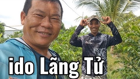 Câu cá rô đồng cùng ido Lãng Tử ngày ngày mưa bão// Fishing with my brother