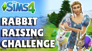 Introducing The Rabbit Raising Challenge | The Sims 4 Guide