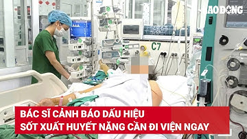Bác sĩ cảnh báo dấu hiệu sốt xuất huyết nặng cần đi viện ngay | Báo Lao Động