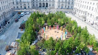Es Devlin’s ‘Forest for Change’ overtakes Somerset House courtyard at the London Design Biennale