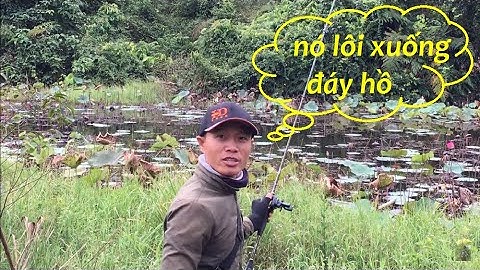 Vượt 20km Lure Cá Lóc Tại Đầm Sen Tuyệt Đẹp & Cái Kết_ T45