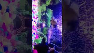 Ruki Shoki Roti.... Oscer Fish Update..