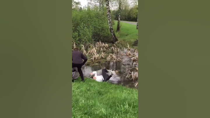 Она запомнит это свидание на всегда