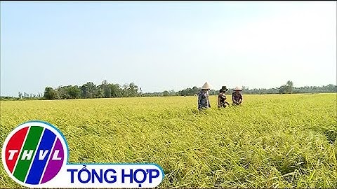Phát triển hợp tác xã nông nghiệp