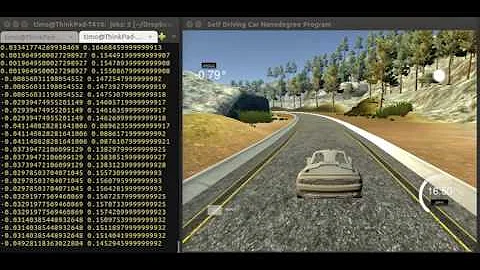 Deep Learning to Clone Driving Behavior - Track 1