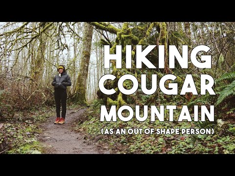 Hiking Cougar Mountain Regional Wildland Park | Hiking...but make it artsy