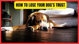 12 Ways to Lose Your Dog's Trust by For Pet Owners 13 views 1 month ago 3 minutes, 16 seconds