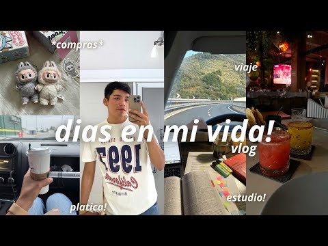 dias en mi vida| compras del mes, roadtrip, estudiando, platica y mas! ☀️