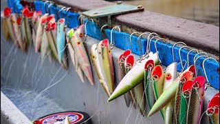 Tomic & Silver Horde Plug Tips  How to Catch Chinook on Plugs