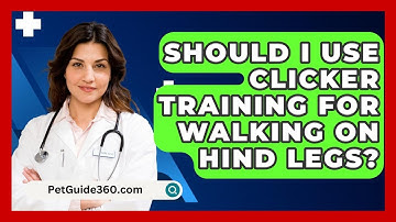 Should I Use Clicker Training For Walking On Hind Legs? - PetGuide360.com