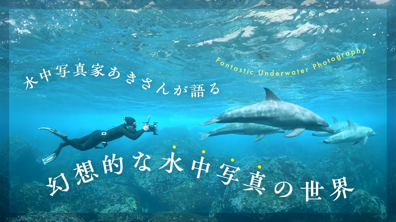 水中写真家 あきさんが語る 幻想的な水中写真の世界 のサムネイル
