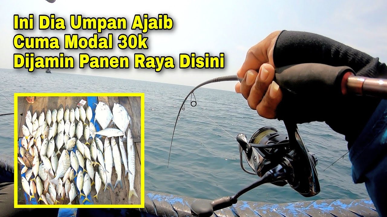 GAK NYANGKA!! Dapet Umpan Ajaib Langsung Ribuan Koloni Ikan Berdatangan