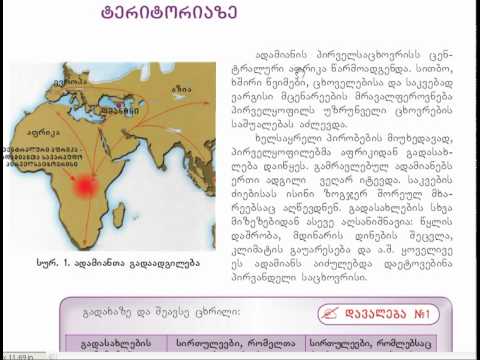 მე--7 ლექცია, ნაწილი 3
