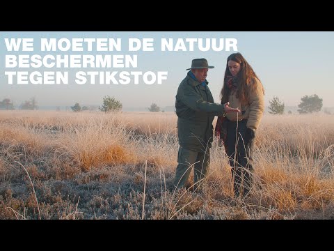 Wat doet stikstof met onze natuur? ? | Op pad met boswachter Frans