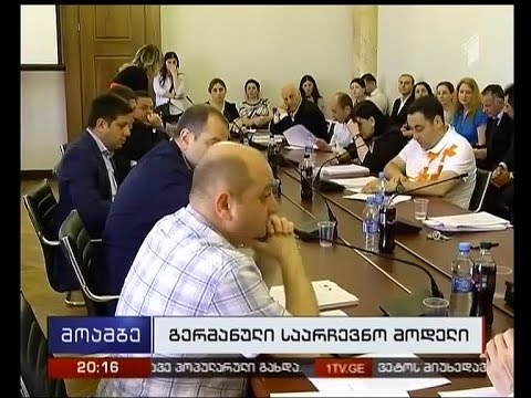 გერმანული მოდელი დღევანდელ საკომიტეტო მოსმენაზეც ჩავარდა