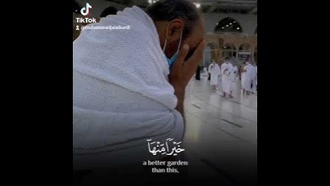 تلاوة خاشعة ما تيسر من سورة القلم بصوت القارئ محمد جلال الكردي راحة نفسية حالات واتس اب دينية