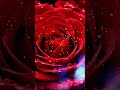 Нет ягодиц? Смотрите! 💞 Гадание на картах Таро | Алена Ариес