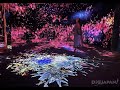 東京麻布台 Hills teamLab Borderless | 日本國內最大規模！能夠欣賞70多件teamLab作品