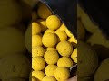 Boost your catch with mainline essentials! #mainlinebaits #carpfishing