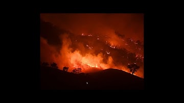 Topic 2 (succession and biomes)