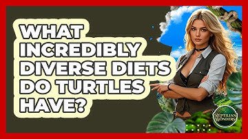 What Incredibly Diverse Diets Do Turtles Have? - Reptilian Wonders