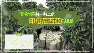 艾多美有機濃縮諾麗果發酵液｜全球公認抗氧化更高及含有豐富營養的超級水果