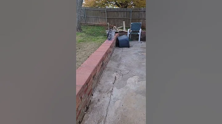 12 yr old boxer and 1 yr old playing and fun