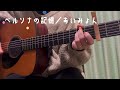 ペルソナの記憶/あいみょん(弾き語りcover)