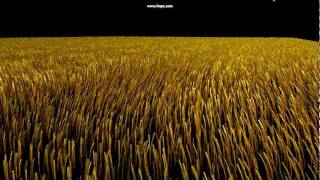 Real Time Grass Simulation prototype 5