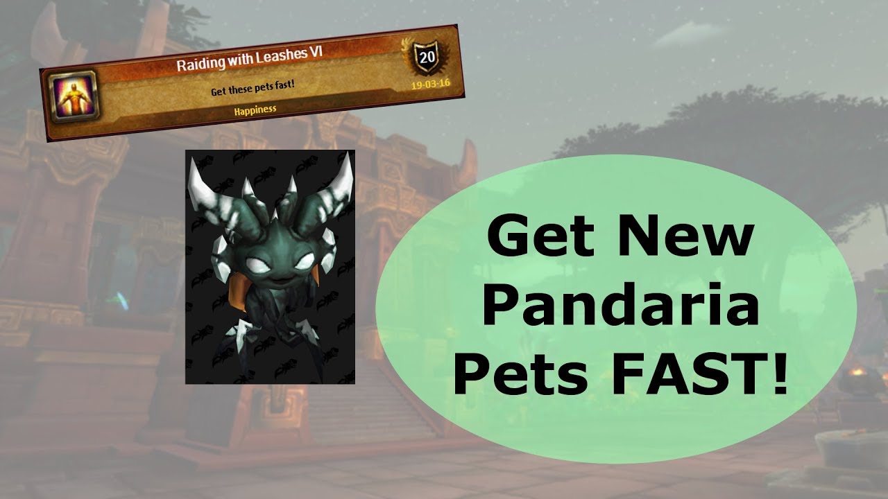 Get the New Pandaria Pets FAST -  Raiding with Leashes World of Warcraft 8.1.5