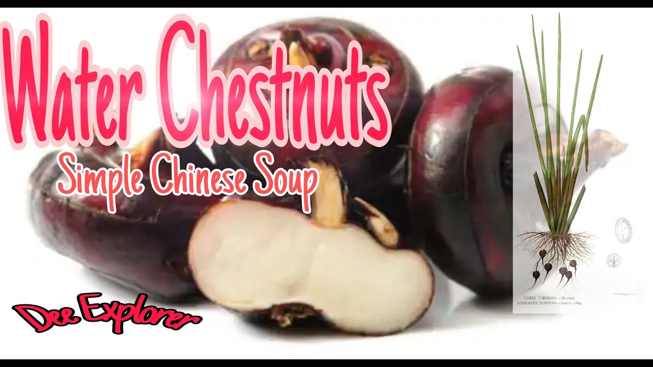 WHAT ARE THE BENEFITS OF WATER CHESTNUT? SIMPLE CHINESE SOUP. YouTube