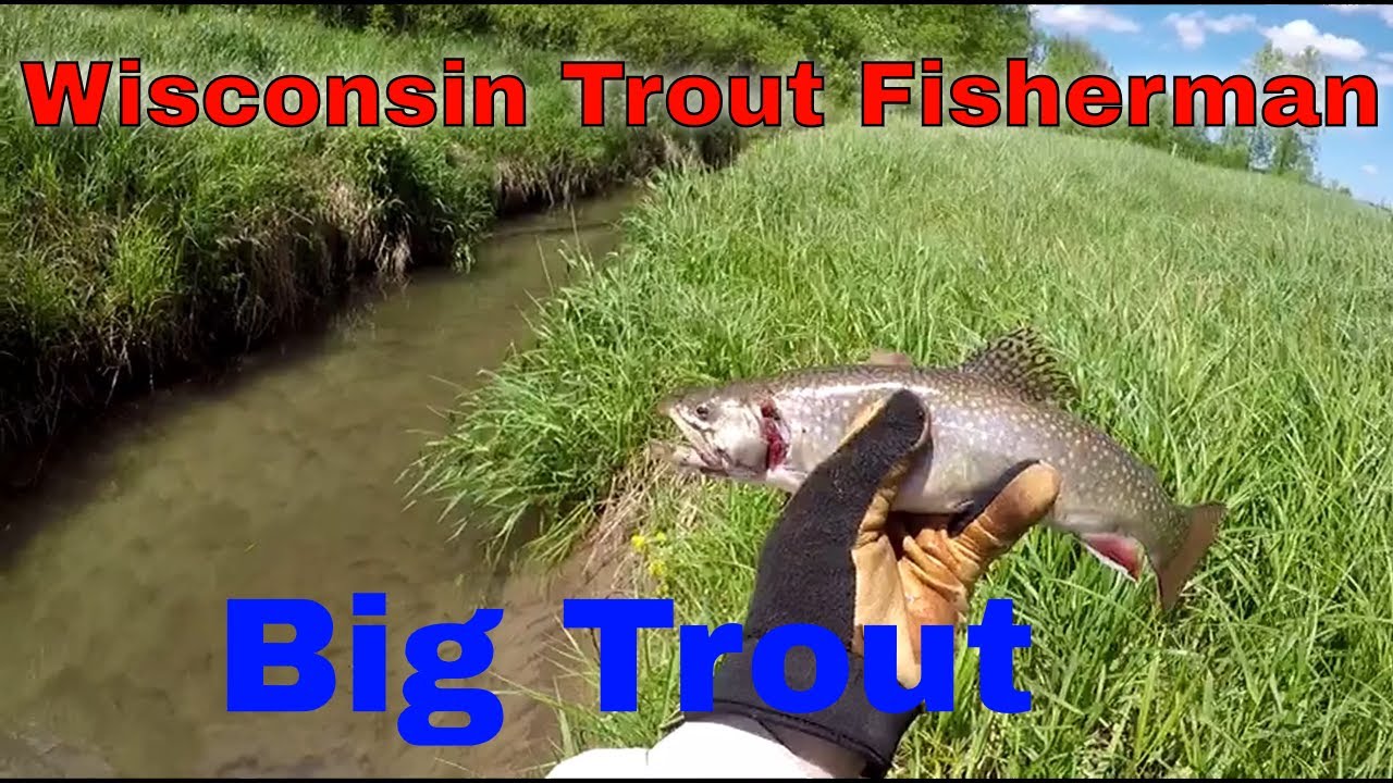 Wild American Trout Fishing (American Trout Fishing) Richland County