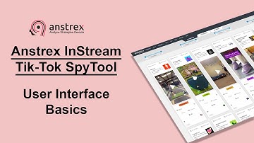 Anstrex InStream Tik-Tok Spy Tool Tutorial - User Interface