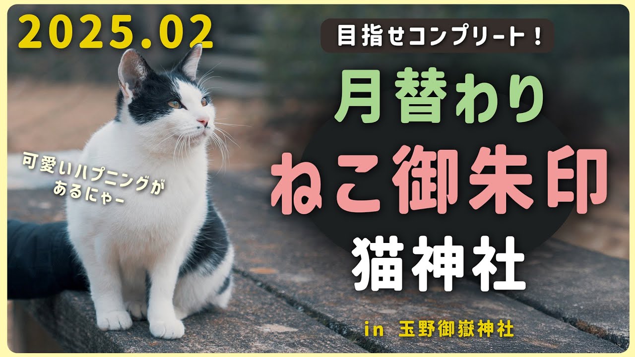 【ねこ御朱印2月版】帰りに可愛いハプニング！？ 　in玉野御嶽神社