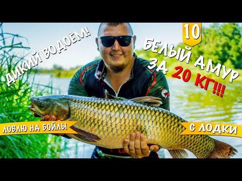 БЕЛЫЙ АМУР за 20 КГ! 4 часа вываживания!