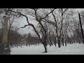 Феодосия. Зима в Комсомольском парке 18.1.2021