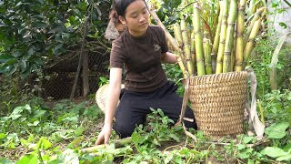 Hi everybody.  Today I introduce to everyone about steamed sugarcane with cinnamon leaves.