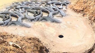 wow! Best Fishing With Electric Fan Guard Deep Hole Fishing Trap Catch a lot of fish in cambodia