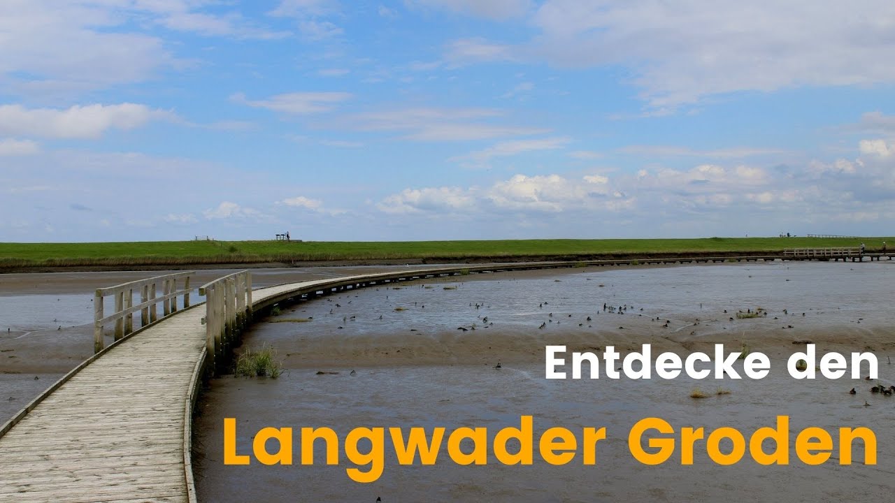 Beitrag: Natur erleben: Der Natur-Erlebnispfad im Langwarder Groden / Butjadingen