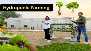 बिना मिट्टी हाइड्रोपोनिक खेती || Hydroponic Farming Economics || Vertical Farming || Hello Kisaan by Hello Kisaan 129,343 views 3 months ago 48 minutes