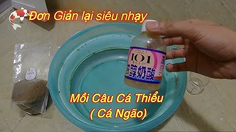 Tập 36 :Hướng dẫn chia sẻ bài mồi câu cá ngão ( cá thiểu)