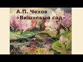 Вишнёвый сад - А.П. Чехов — краткое содержание