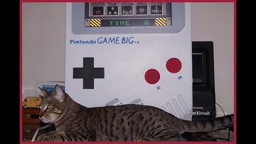 Gamebigs Raspberry Pi Retropie