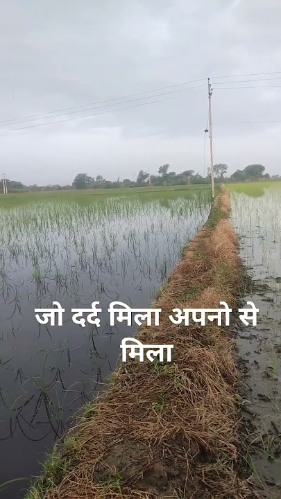 गैरों से शिकायत कौन करे? #apne #dard #shikayat